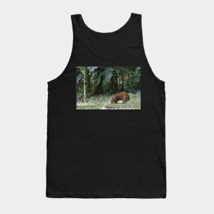 Agouti Tank Top